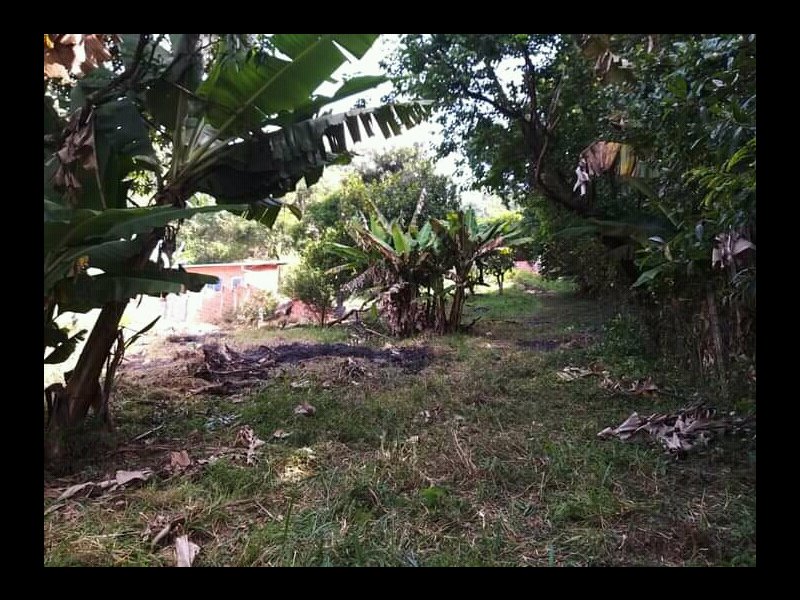 Chácara à venda Centro com 2000m² e 2 quartos por R$ 250.000 - 301447055-img-20211203-wa0021.jpg