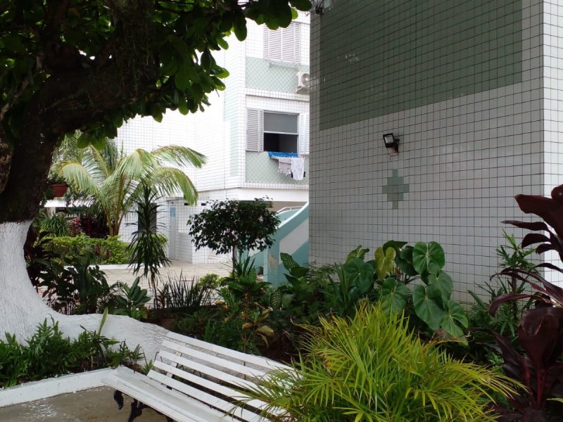 Apartamento para alugar Nova Mirim com 32m² e 1 quarto por R$ 150 - 1053092194-img-20211204-wa0032.jpg