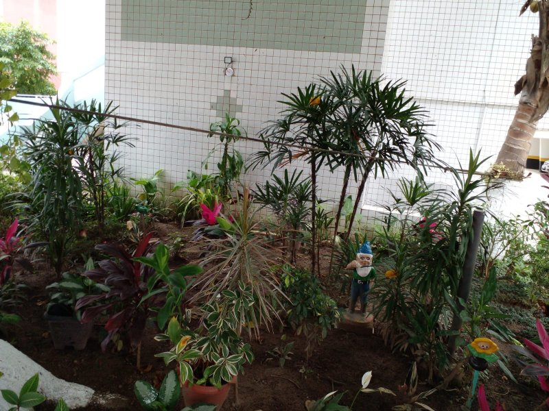 Apartamento para alugar Nova Mirim com 32m² e 1 quarto por R$ 150 - 1747885859-img-20211204-wa0007.jpg
