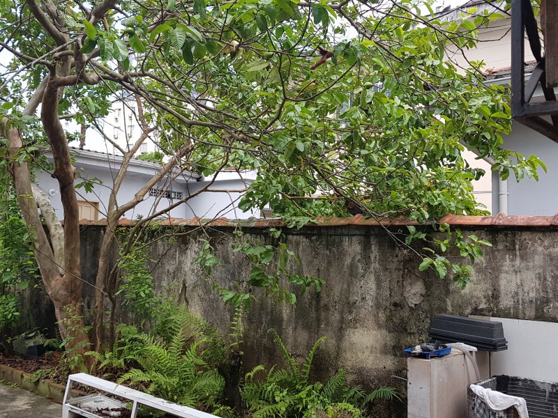 Casa à venda Vila Matias com 150m² e 4 quartos por R$ 560.000 - 666692177-20200206-114041.jpg