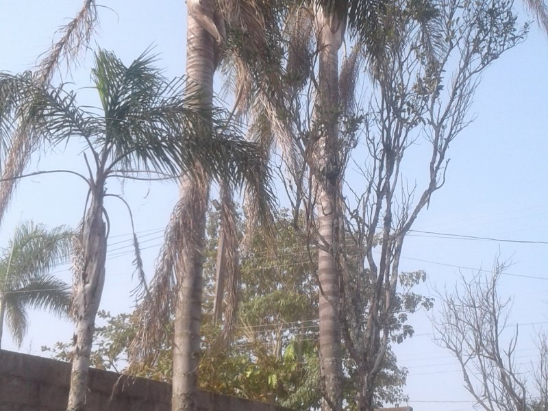 Chácara à venda Maracanã com 1150m² e 2 quartos por R$ 350.000 - 321977922-20210825-152905.jpg