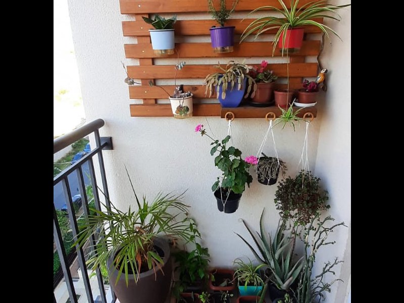 Apartamento à venda Jardim Paranapanema com 58m² e 2 quartos por R$ 320.000 - 1372060138-whatsapp-image-2021-10-14-at-21.jpeg