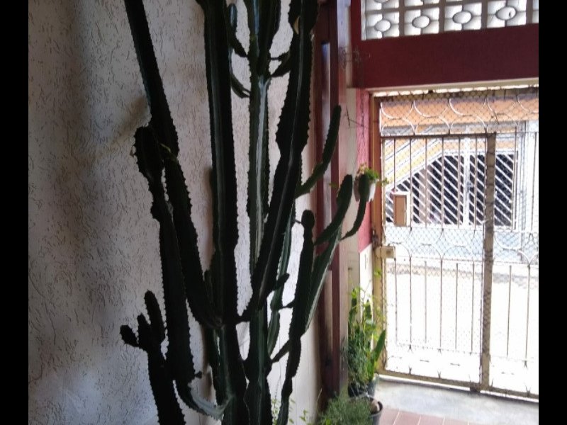 Casa à venda Chácara Belenzinho com 140m² e 3 quartos por R$ 600 - 639173449-20211205-123749.jpg
