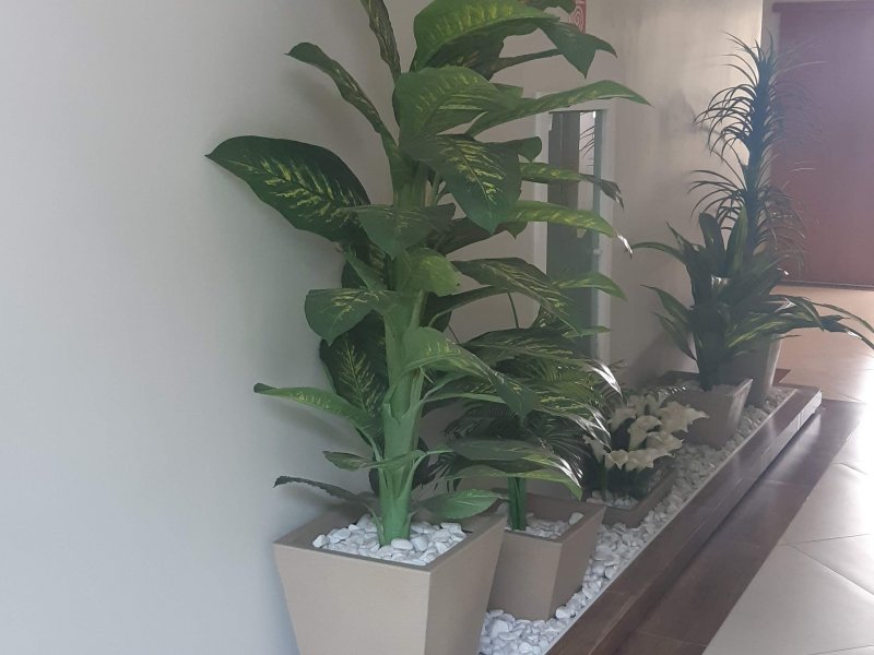 Apartamento à venda Vila Pita com 54m² e 2 quartos por R$ 252.000 - 616283982-20210918-104721.jpg