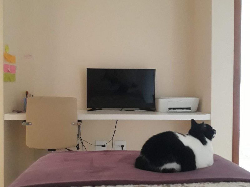 Apartamento à venda Barreiro com 86m² e 3 quartos por R$ 460.000 - 1978541469-20211026-104443.jpg