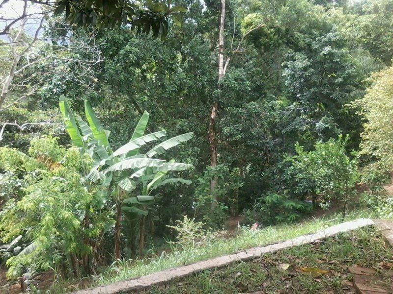 Chácara à venda Fazenda Morumbi com 1000m² e 2 quartos por R$ 200.000 - 1601442155-2971ebf7-d392-47e4-872c-1ecb7c930baa.jpg