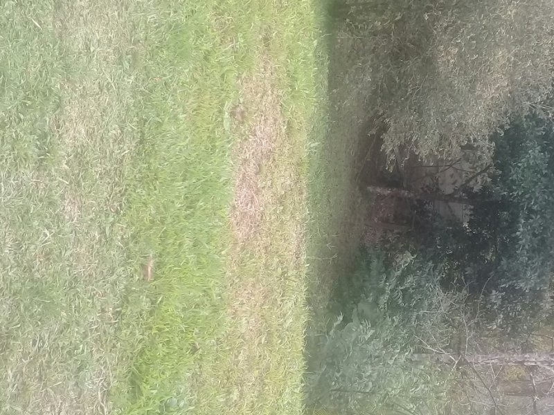 Chácara à venda Fazenda Morumbi com 1000m² e 2 quartos por R$ 200.000 - 1733231343-img-163035247789f.jpg