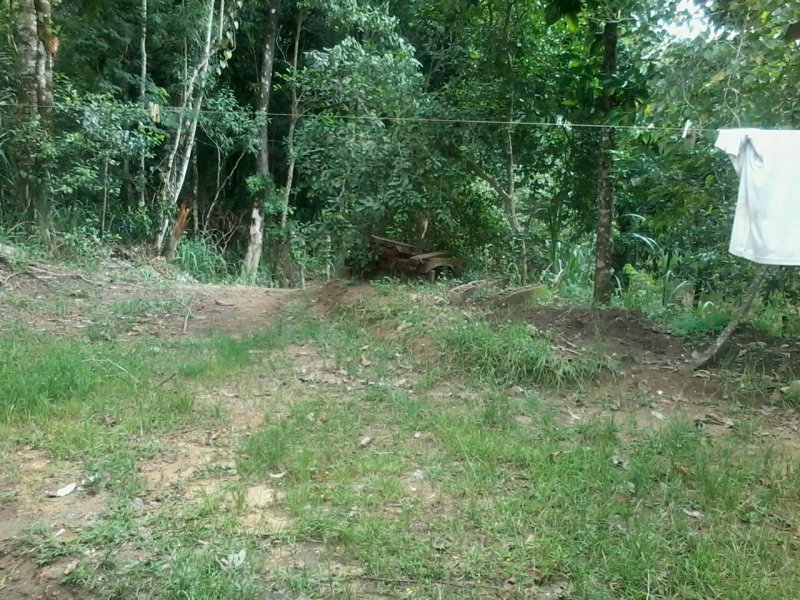 Chácara à venda Fazenda Morumbi com 1000m² e 2 quartos por R$ 200.000 - 1920471125-f029b6c3-47f5-41d4-b8b3-ed0793875691.jpg