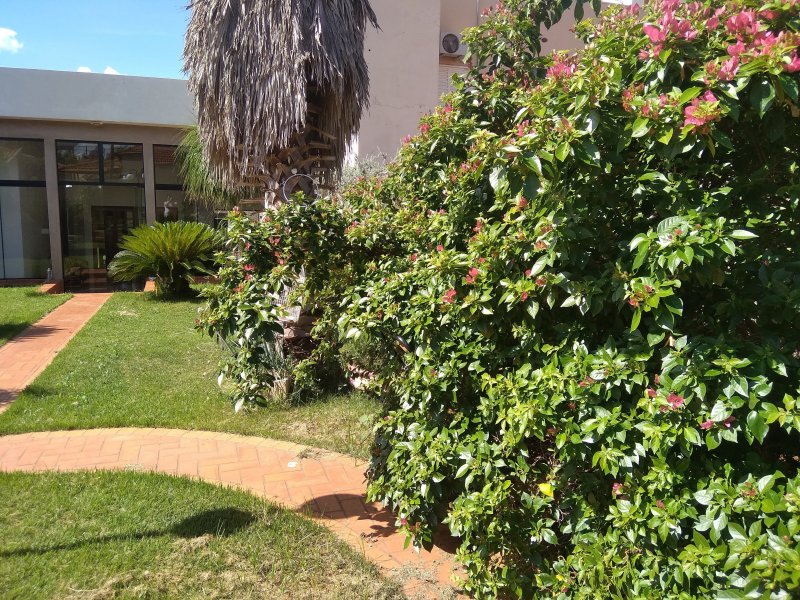 Casa à venda Centro com 350m² e 3 quartos por R$ 800.000 - 683854497-img-20211116-150235.jpg