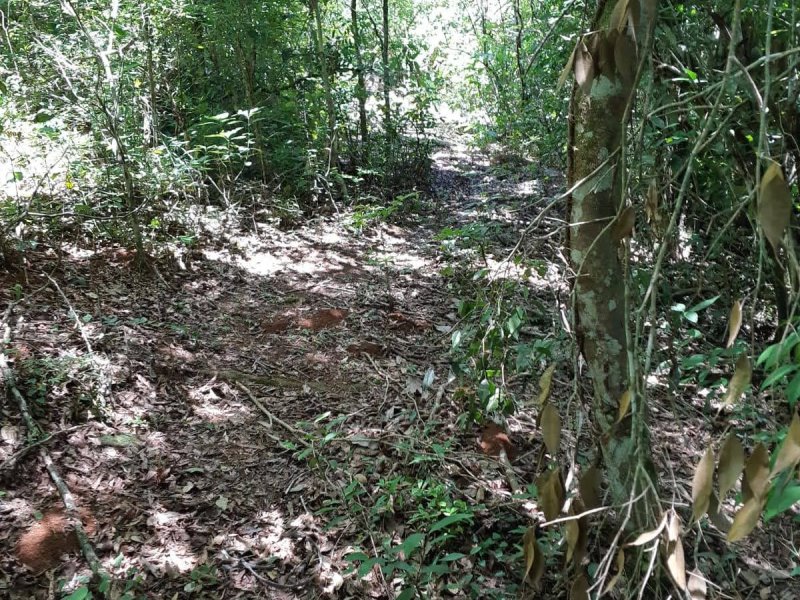 Chácara à venda Centro com 110m² e 4 quartos por R$ 1.650.000 - 1178998566-img-20211127-wa0012.jpg