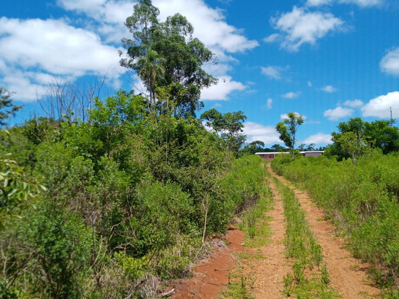 Chácara à venda Centro com 110m² e 4 quartos por R$ 1.650.000 - 397953219-img-20211127-114313-9.jpg