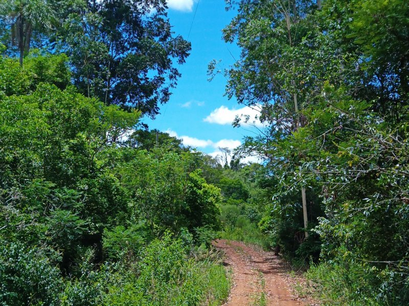 Chácara à venda Centro com 110m² e 4 quartos por R$ 1.650.000 - 455209257-img-20211127-114148-4.jpg