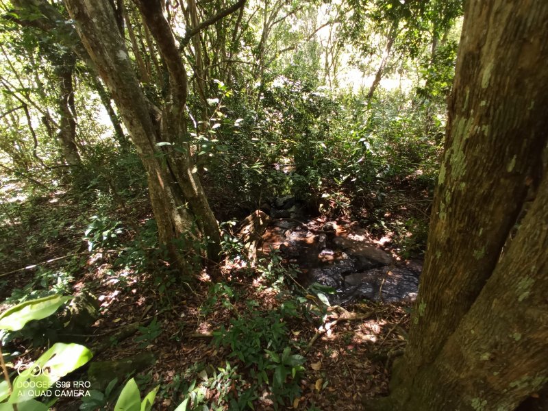 Chácara à venda Centro com 110m² e 4 quartos por R$ 1.650.000 - 472036631-img-20211127-114902-794.jpg