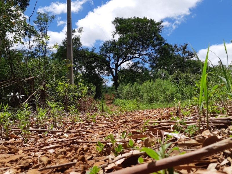Chácara à venda Centro com 110m² e 4 quartos por R$ 1.650.000 - 697252002-img-20211127-wa0107.jpg