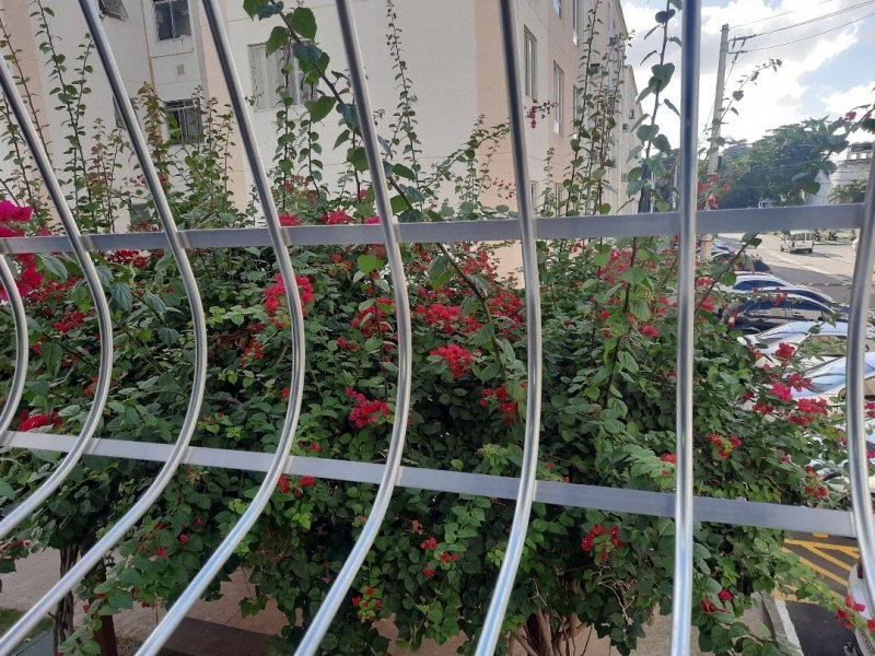 Apartamento à venda Bonsucesso com 44m² e 2 quartos por R$ 220.000 - 1331287730-screenshot-20211207-201105-photos.jpg