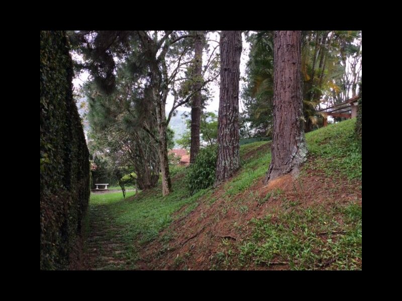 Casa à venda Barra do Imbuí com 4500m² e 5 quartos por R$ 2.500.000 - 134191536-img-20211029-wa0048.jpg