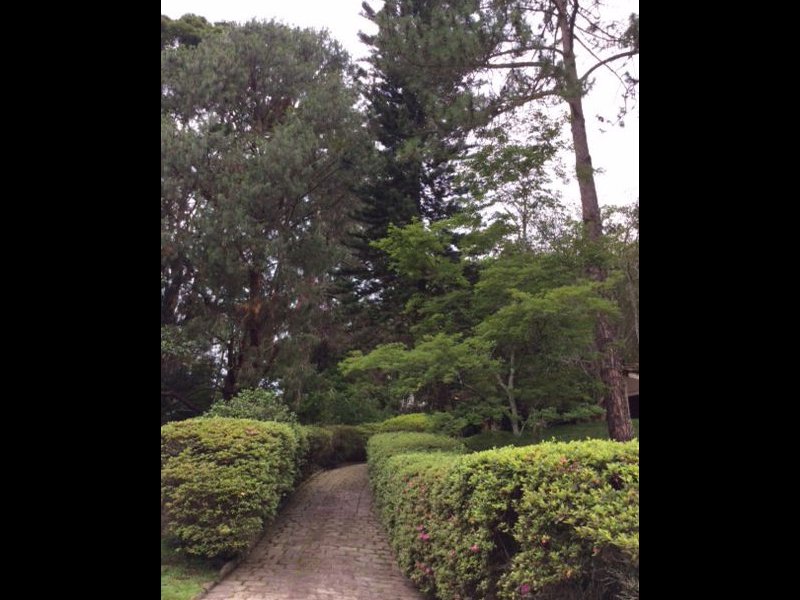 Casa à venda Barra do Imbuí com 4500m² e 5 quartos por R$ 2.500.000 - 437270406-img-20211029-wa0058.jpg