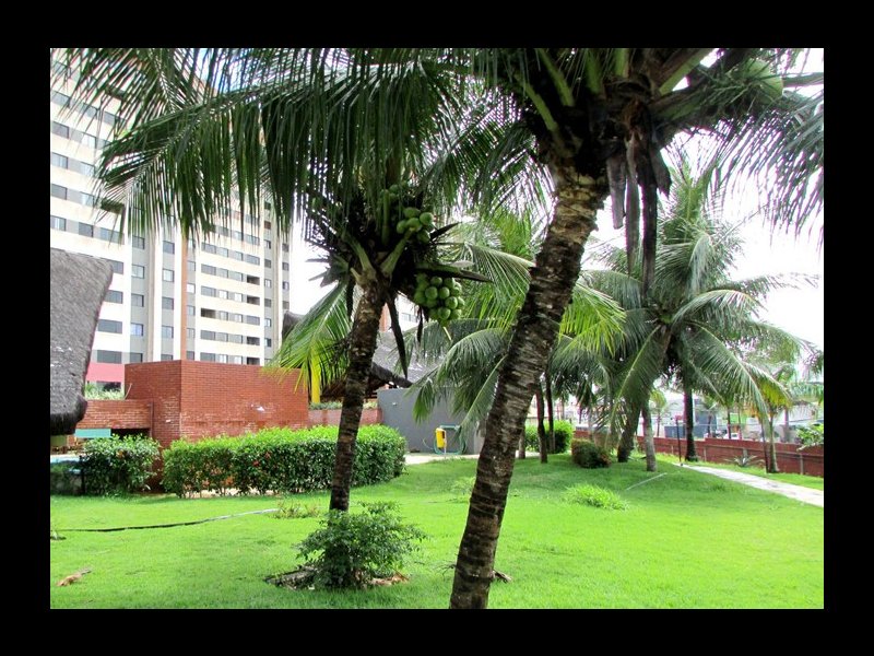 Apartamento à venda Nova Parnamirim com 72m² e 3 quartos por R$ 285.000 - 37295815-4-area-externa.jpg