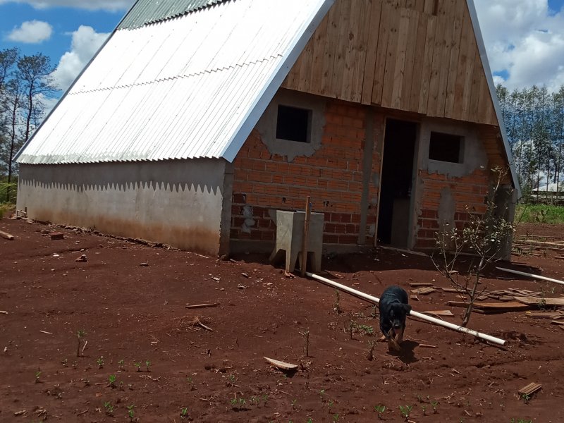 Chácara à venda Jardim Ouro Cola com 18000m² e 4 quartos por R$ 800.000 - 1186977429-img-20211101-110438.jpg