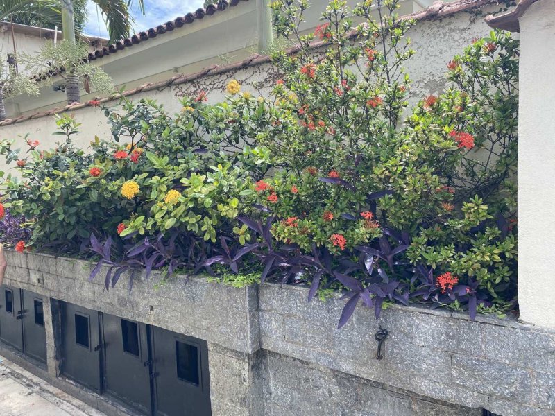 Apartamento à venda Riachuelo com 72m² e 2 quartos por R$ 230.000 - 869190019-area-externa-1.jpg