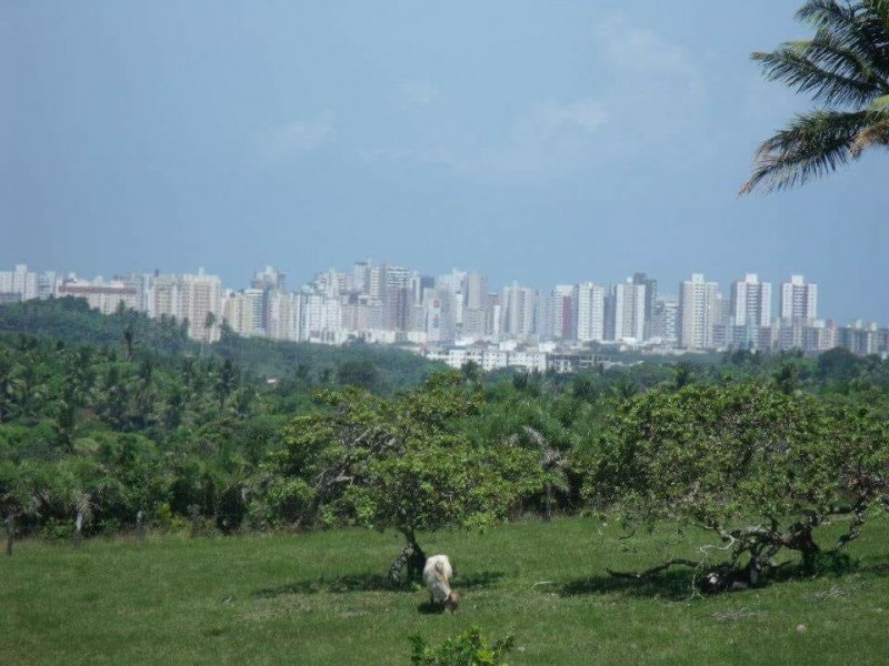 Chácara à venda Centro com 156600m² e 1 quarto por R$ 3.500.000 - 62360102-terreno3.jpg