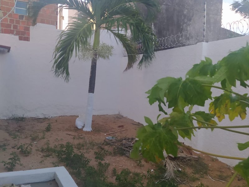 Casa à venda Lagoa Nova com 275m² e 5 quartos por R$ 600.000 - 761905761-whatsapp-image-2021-12-12-at-15.jpeg