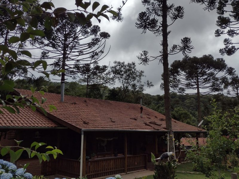 Chácara à venda Centro com 5000m² e 2 quartos por R$ 790.000 - 574410745-614ac1bc-6e66-48c8-9bc0-ffd50bffb785.jpeg