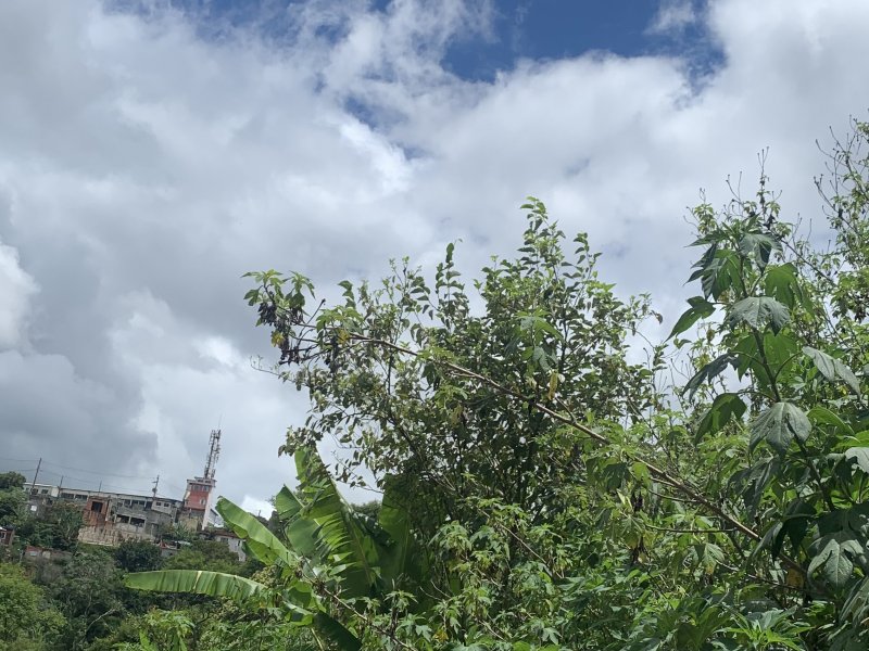 Casa à venda Vila Constança (Botujuru) com 1049m² e 1 quarto por R$ 200.000 - 773968364-bf90029f-b7ba-40fb-8026-fdb28a5f8b2a.jpeg