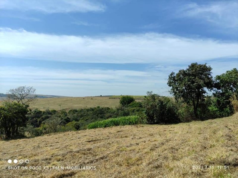 Terreno à venda Centro com 5000m² e 1 quarto por R$ 150.000 - 1133770914-whatsapp-image-2021-11-19-at-10.jpeg