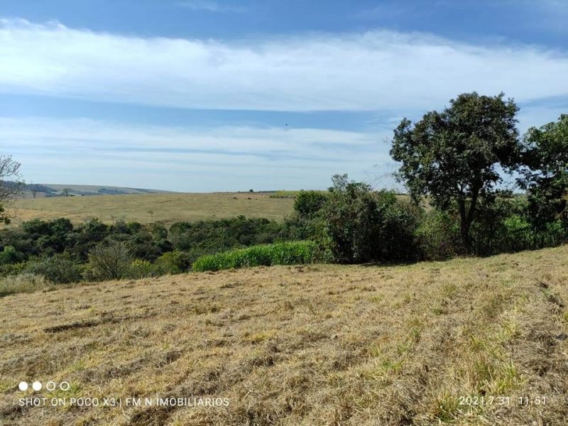 Terreno à venda Centro com 5000m² e 1 quarto por R$ 150.000 - 1217474794-whatsapp-image-2021-11-19-at-10.jpeg