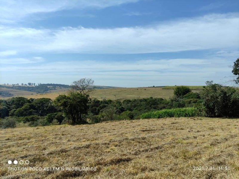 Terreno à venda Centro com 5000m² e 1 quarto por R$ 150.000 - 1903161248-whatsapp-image-2021-11-19-at-10.jpeg
