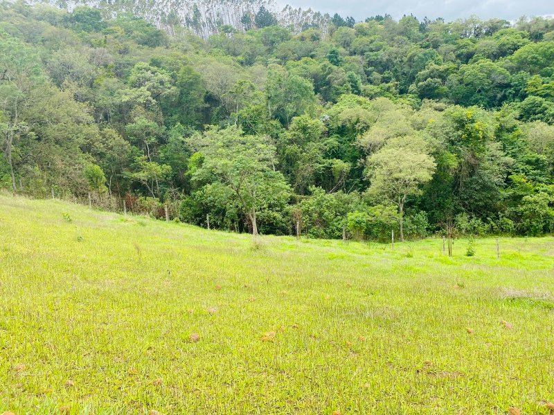 Terreno à venda centro com 1000m² e 1 quarto por R$ 55.000 - 240319872-whatsapp-image-2021-11-20-at-10.jpeg