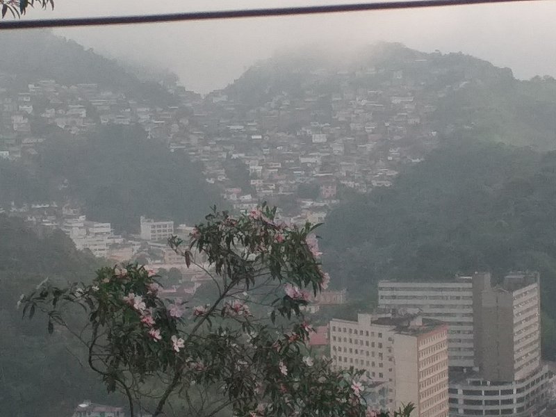 Terreno à venda Floresta com 219m² e 1 quarto por R$ 75.000 - 1778701738-img-20211128-wa0121.jpeg