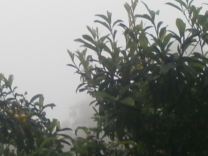 Apartamento à venda De Lazzer com 60m² e 2 quartos por R$ 160.000 - 1473333546-p9191166.JPG