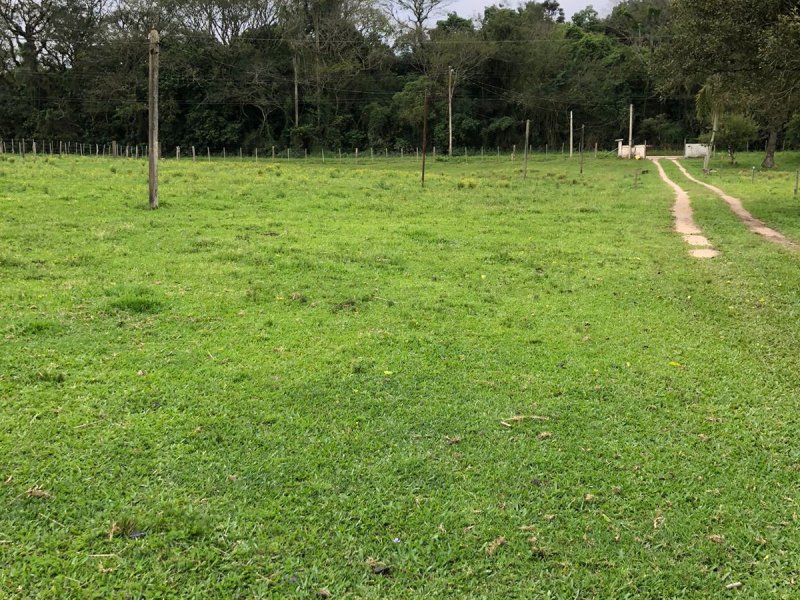 Sítio à venda Extrema com 8120m² e 2 quartos por R$ 480.000 - 1292373801-whatsapp-image-2021-11-04-at-11.jpeg