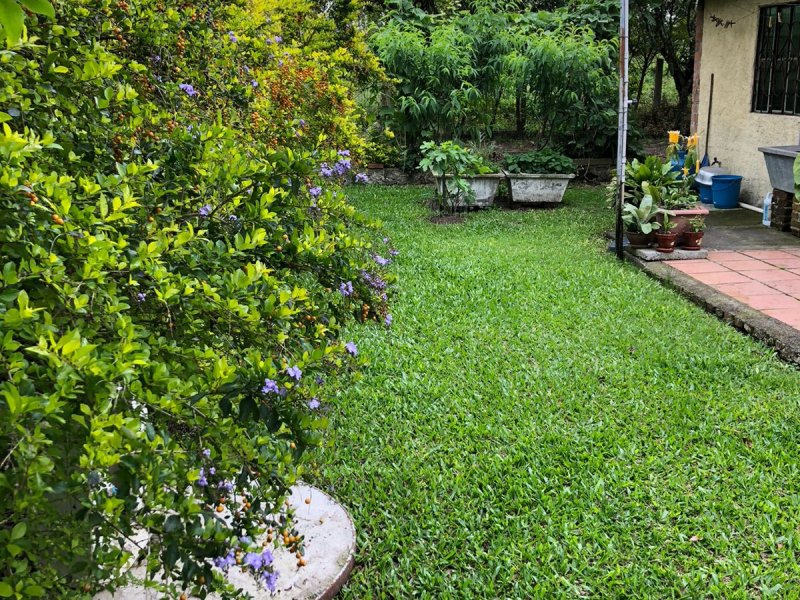 Sítio à venda Extrema com 8120m² e 2 quartos por R$ 480.000 - 1361547067-whatsapp-image-2021-11-04-at-11.jpeg