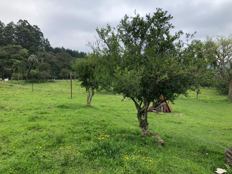 Sítio à venda Extrema com 8120m² e 2 quartos por R$ 480.000 - 2051226492-whatsapp-image-2021-11-04-at-11.jpeg