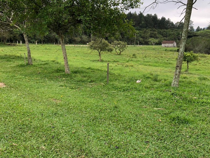 Sítio à venda Extrema com 8120m² e 2 quartos por R$ 480.000 - 955564243-whatsapp-image-2021-11-04-at-11.jpeg
