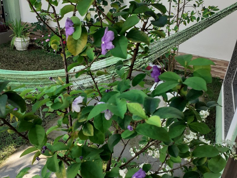 Casa à venda Boqueirão com 230m² e 3 quartos por R$ 480.000 - 356498682-20210913-144841.jpg