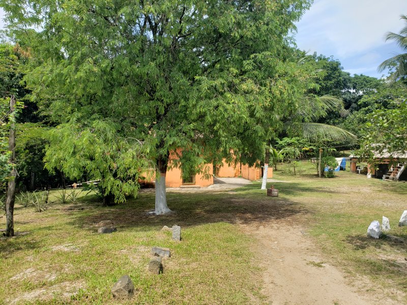 Fazenda à venda Iguape com 13000m² e 2 quartos por R$ 850.000 - 1053379071-20211218-095807.jpg
