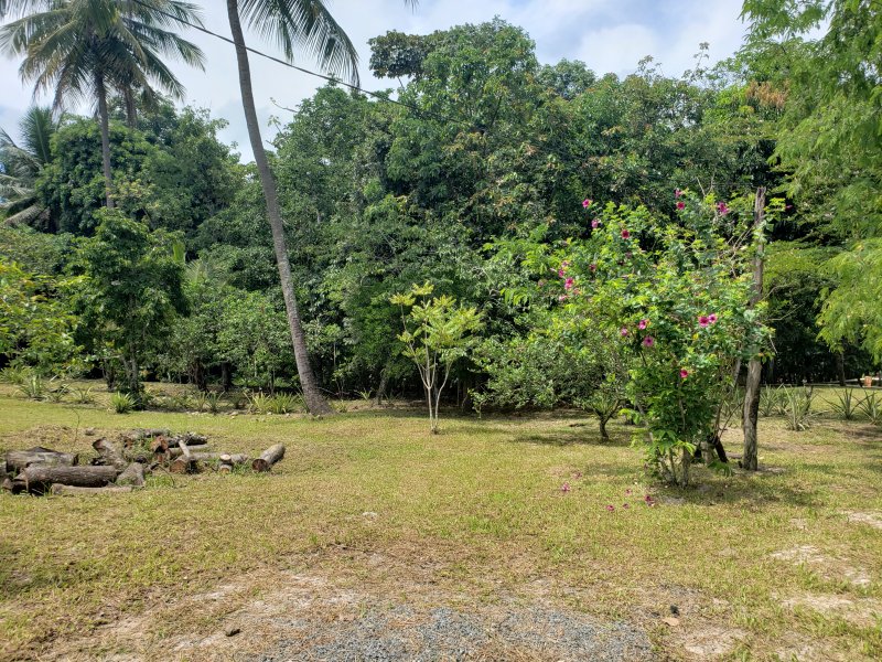 Fazenda à venda Iguape com 13000m² e 2 quartos por R$ 850.000 - 1279711783-20211218-095810.jpg