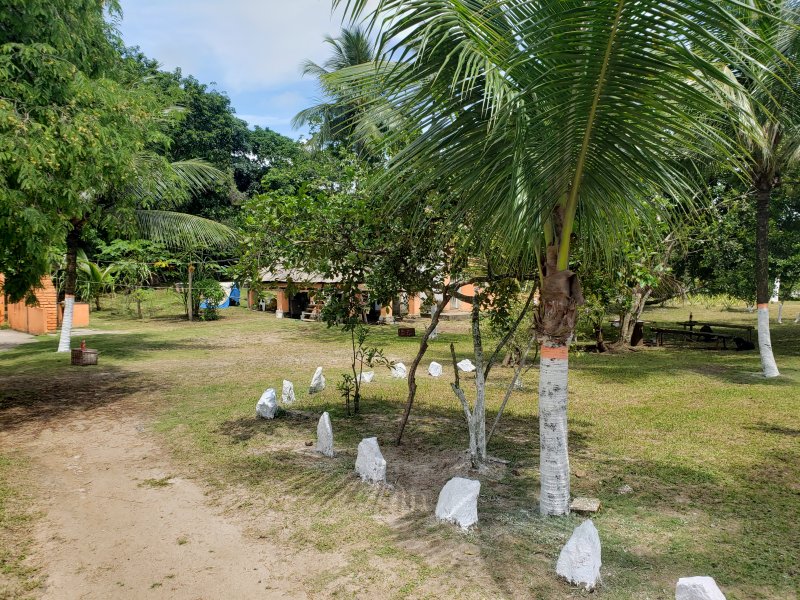 Fazenda à venda Iguape com 13000m² e 2 quartos por R$ 850.000 - 1783373996-20211218-095804.jpg