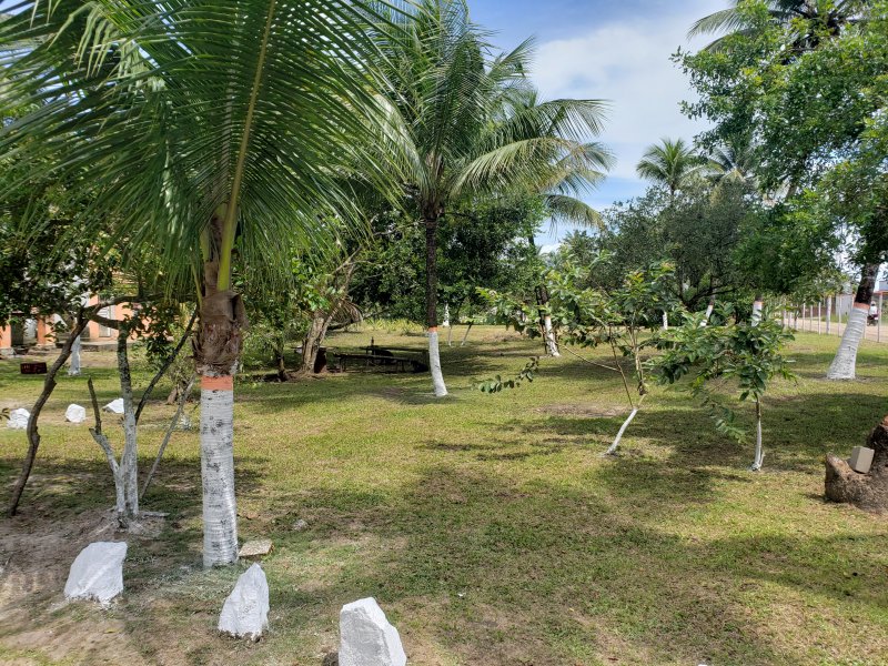Fazenda à venda Iguape com 13000m² e 2 quartos por R$ 850.000 - 489308211-20211218-095801.jpg