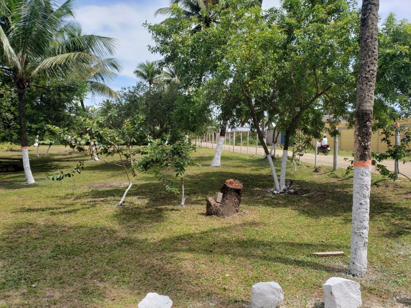 Fazenda à venda Iguape com 13000m² e 2 quartos por R$ 850.000 - 757023567-20211218-095758.jpg
