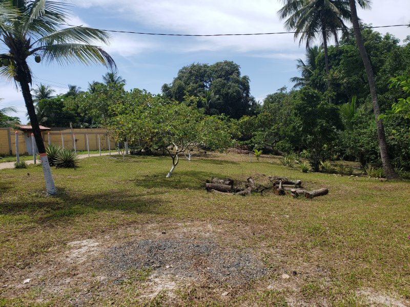 Fazenda à venda Iguape com 13000m² e 2 quartos por R$ 850.000 - 996629023-20211218-095749.jpg