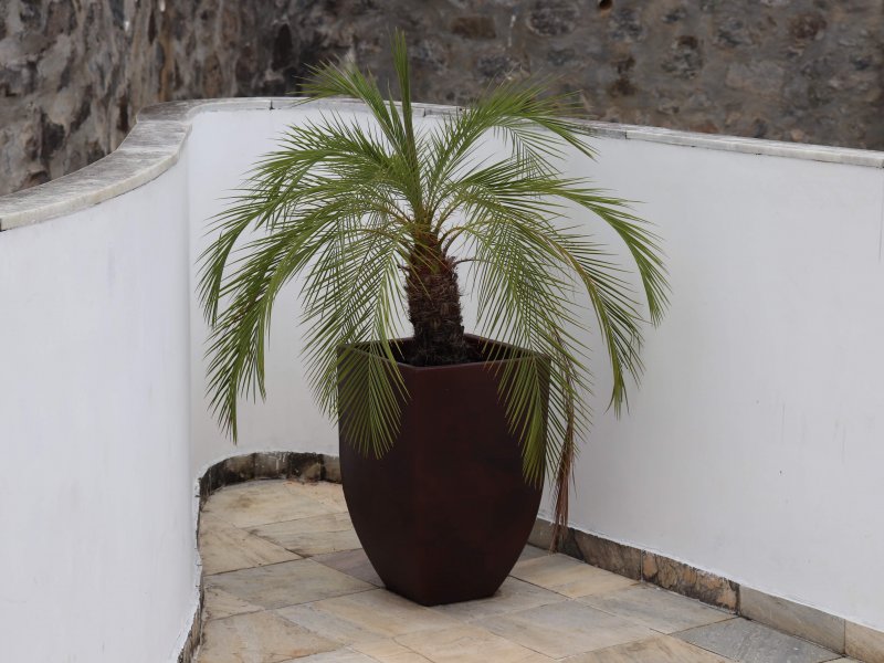 Apartamento à venda Trobogy com 50m² e 2 quartos por R$ 210.000 - 1079472872-20200208101538-img-8670.jpg