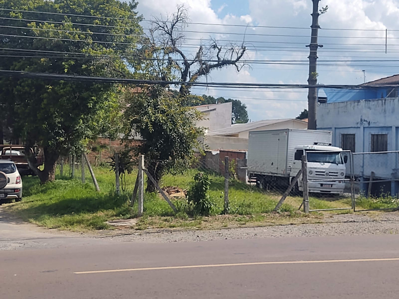 Terreno à venda Augusta com 447m² e 1 quarto por R$ 400.000 - 503096358-whatsapp-image-2021-12-21-at-09.jpeg