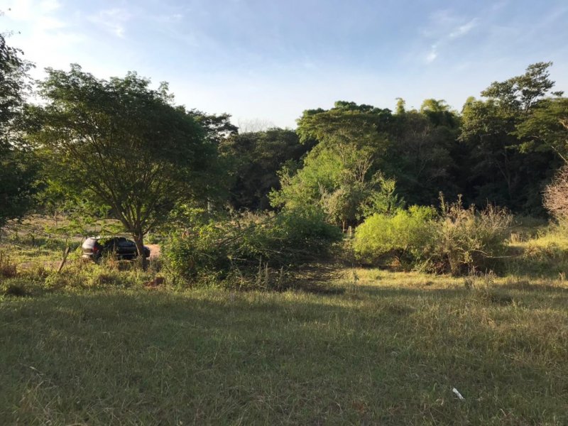 Chácara à venda Centro com 8300m² e 1 quarto por R$ 250.000 - 1122309387-img-20210624-wa0036.jpg