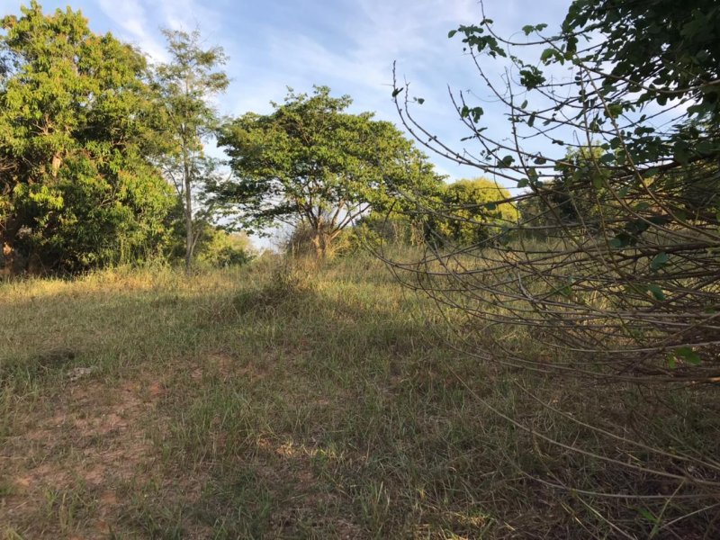 Chácara à venda Centro com 8300m² e 1 quarto por R$ 250.000 - 1127063215-img-20210624-wa0032.jpg