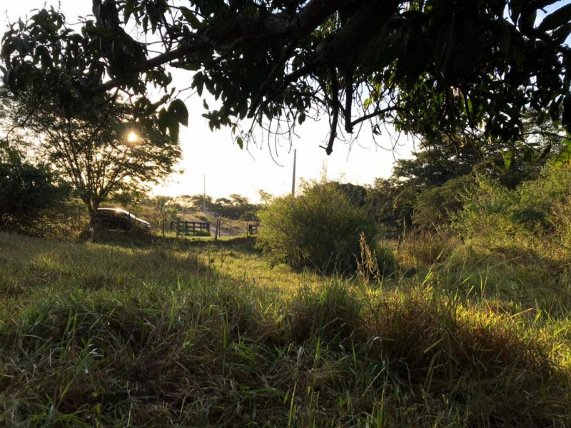 Chácara à venda Centro com 8300m² e 1 quarto por R$ 250.000 - 1239977274-img-20210624-wa0015.jpg